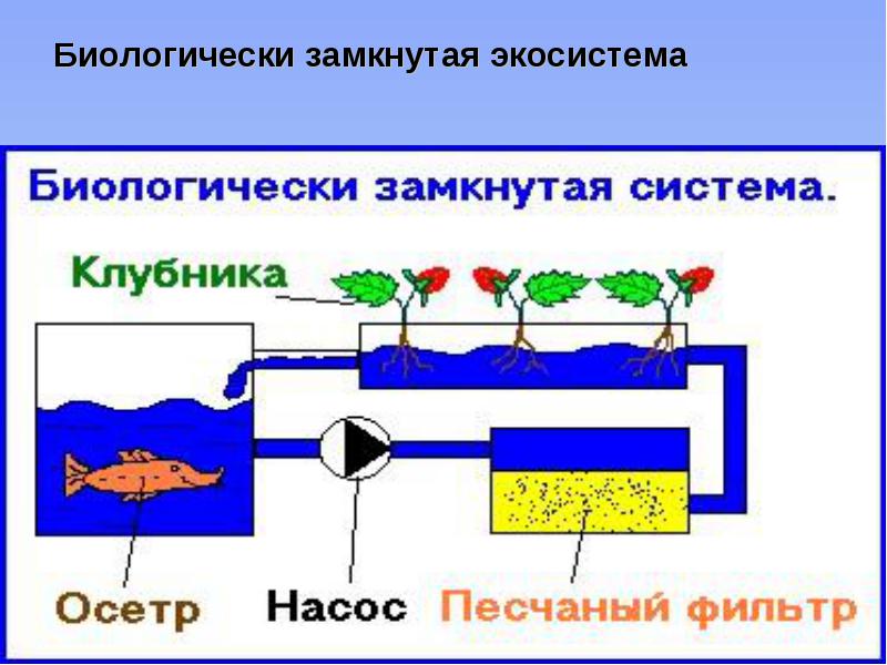 Схема мини узв своими руками