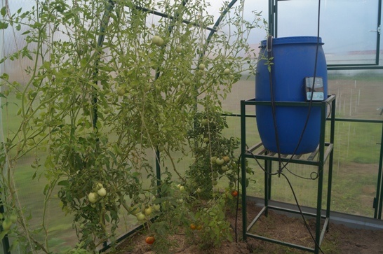 капельный полив купить в воронеже