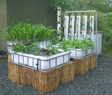 гидропоника из еврокуба