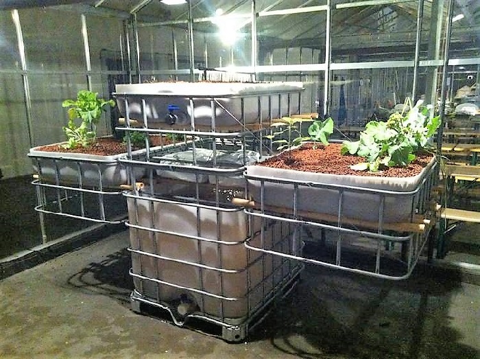 гидропоника из еврокуба